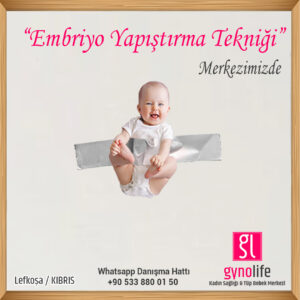 Embriyo Yapıştırma tekniği - tüp bebek tedavisi - kıbrıs tüp bebek - gyno life - tüp bebek merkezi -
